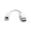 StarTech.com 6IN DisplayPort to Mini DisplayPort Video Cable Adapter